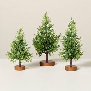Decorative Mini Cypress Christmas Trees (Set of 3) - Hearth & Hand